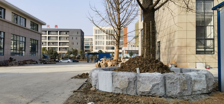 1673596784841443.jpg 102.jpg